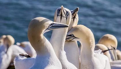 沁阳伴游，定制QQ：3494206190微信：act1322