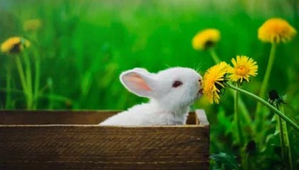 沁阳伴游，定制QQ：3494206190微信：act1322